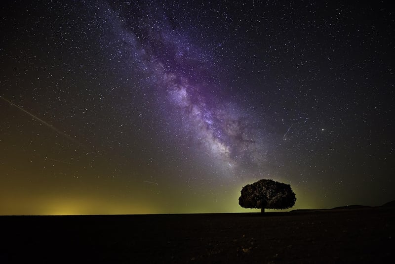 Starry Sky